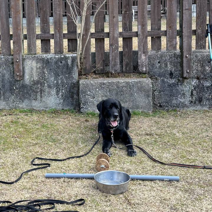 0187abf0 27db 44de 8a7a ad65f67591b3 1771756570300