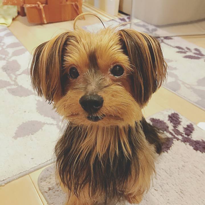 0187ad0f 4f05 4c80 8b66 ccf25f836540 1534122240841