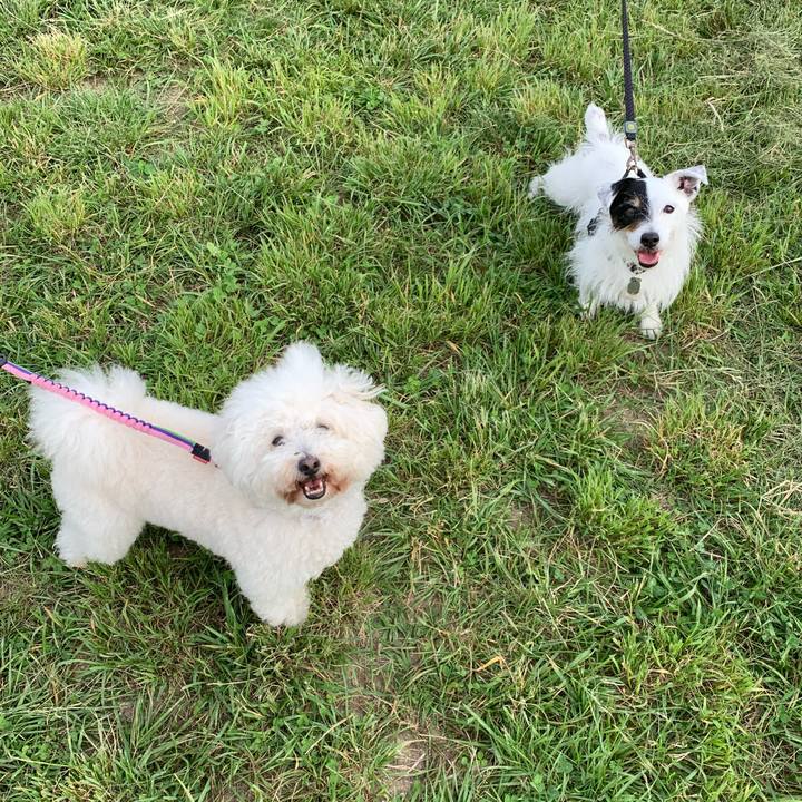 018845b4 c3d0 4598 9afc 1c78e702d2ea 1716536262663