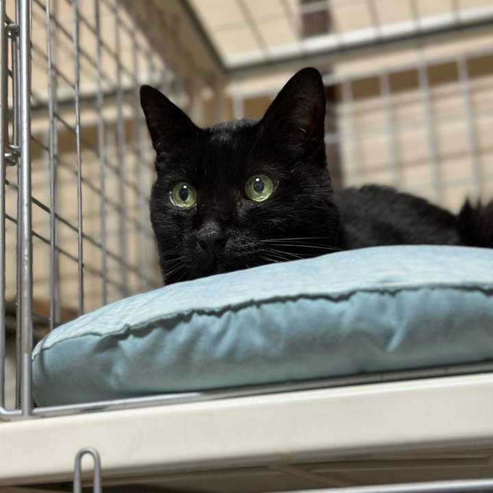 01884926 d379 40d6 a6af 050dd704de2d 1705024604054