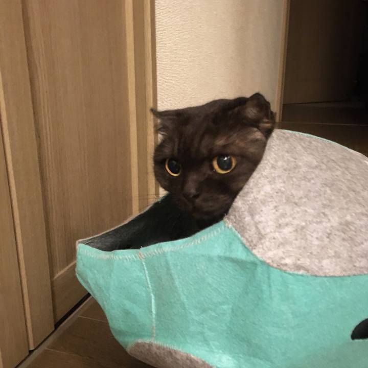 01886dee 2867 4f82 8ffe d0b676305aa6 1571320419544