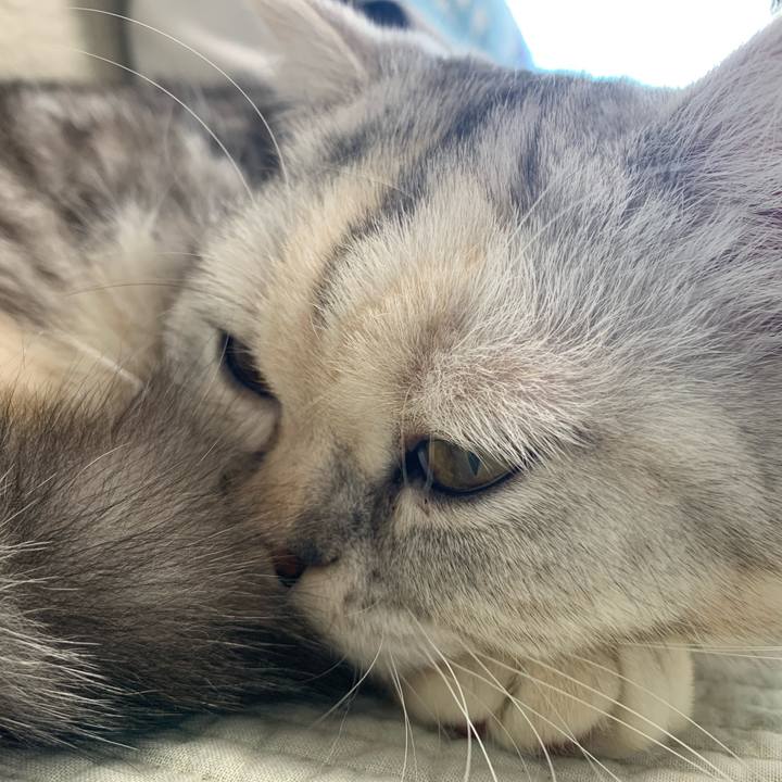 0188cda1 531e 460f a070 f5e9f6dec04f 1707975890294