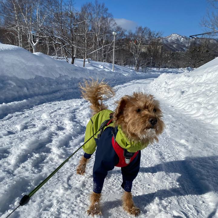 0188ff7a a2b4 4480 974b a94dcc1fff78 1707167763107