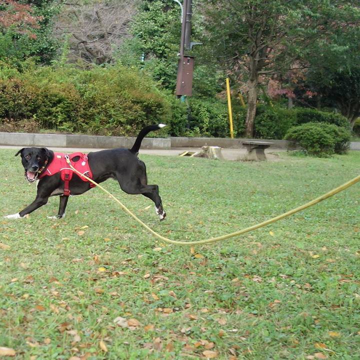 018921ce 1406 4433 9d0b 5c93f6620b28 1603238858827