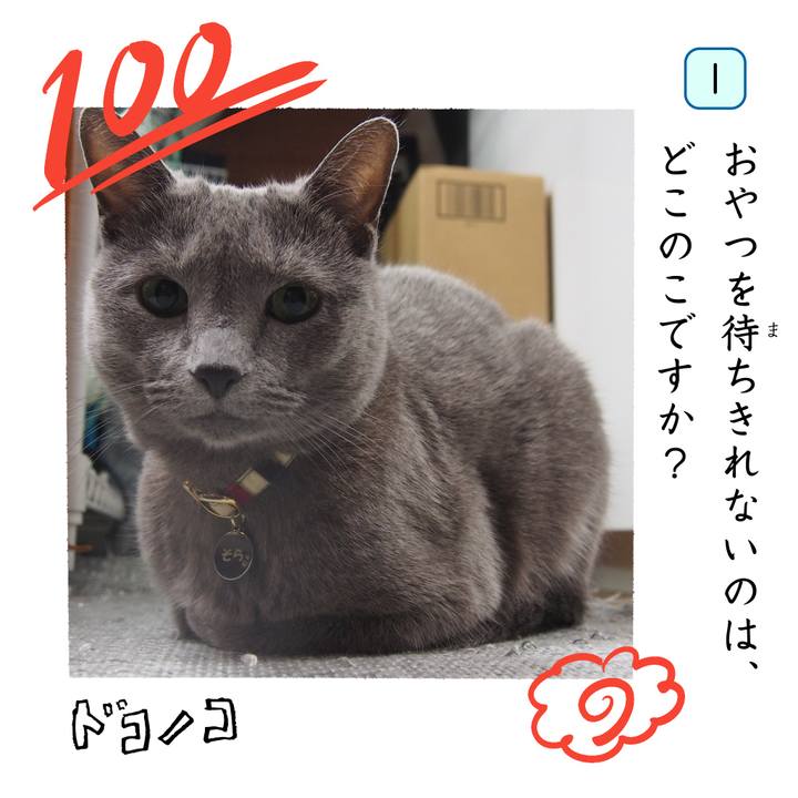 01892c28 b2f7 4825 aa8d 93ee849b2409 1744344753810