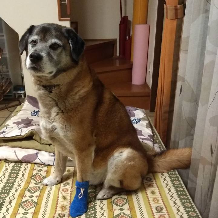 0189c5fa 6509 4e5f b8d0 d833bf239adf 1560261729635