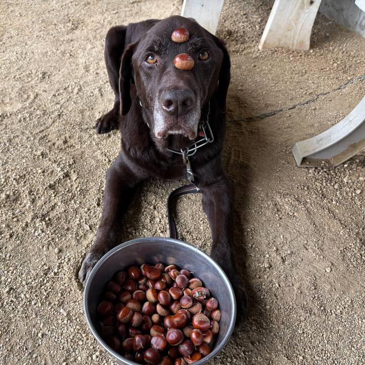 0189ff89 ca86 4bc8 8874 698b4b3c9631 1760179071140