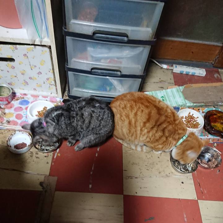 018a0426 7f78 454b 97df d813a005b24a 1580069590555