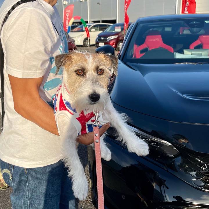 018a356c 5f8d 4822 b0eb 9d7f3aecf06e 1662298567836