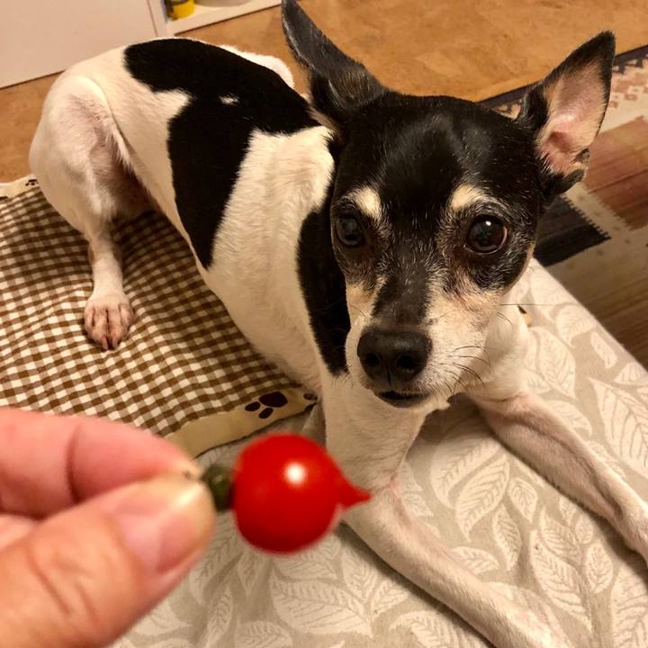 018a5bc3 3c58 4ad4 b137 50e6a211e6f2 1559312328050