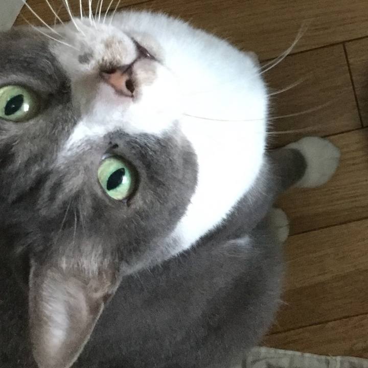 018aa764 c498 45c4 a4b6 f4f4467d377f 1564876544410