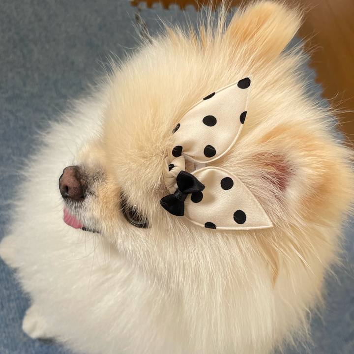 018b050a b84a 4ad4 b122 6a84fb5f6c90 1691469478304