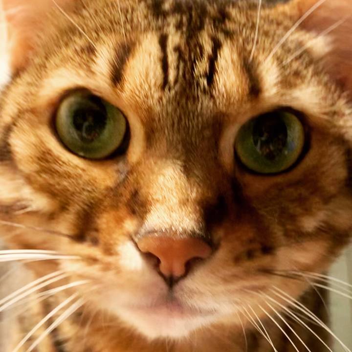 018b44c2 ac72 44cf 996a f6439de38a7e 1577000054493