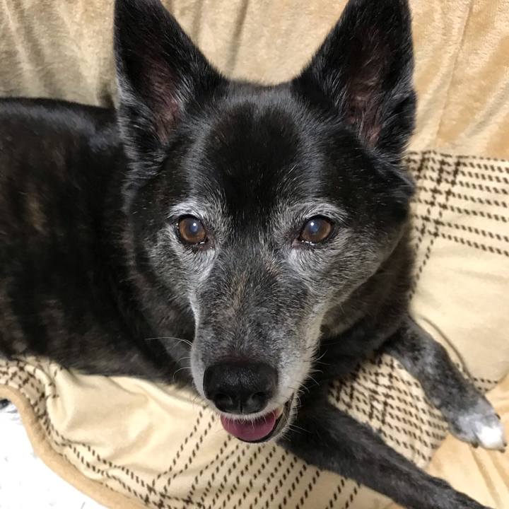 018b88c5 4460 4060 a2f6 40c81e252889 1583239070844