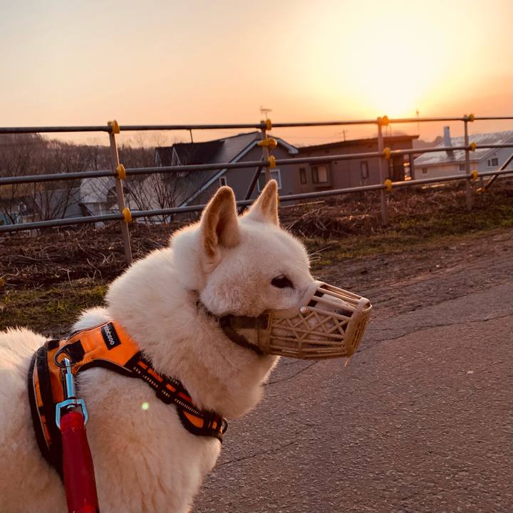 018b94cb 2d95 41e1 9dd7 0191f434cc0d 1650487343047