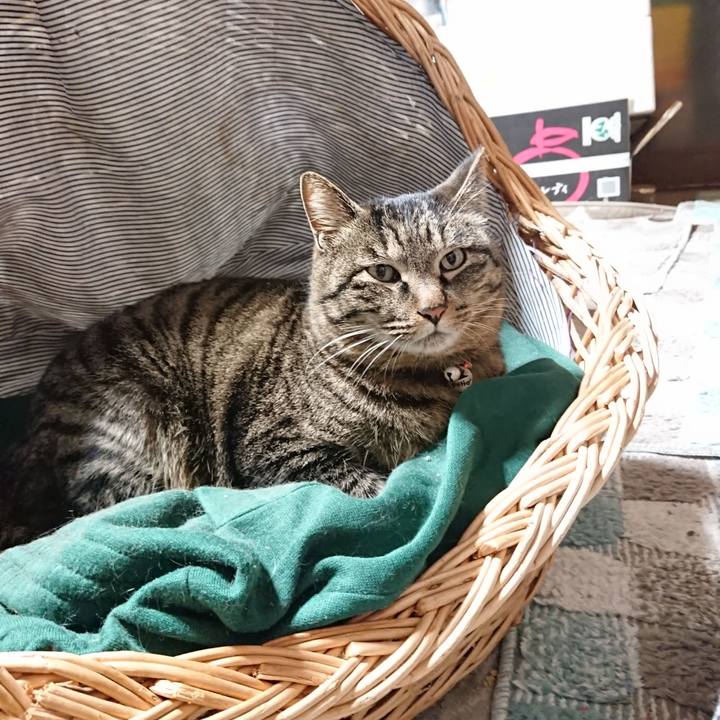 018b964f e5f3 44c5 b2f8 b1c549653f08 1644411755208