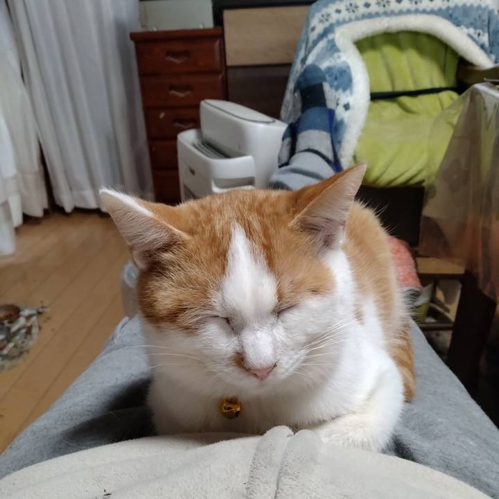 018bc177 27ba 4fb2 aecb c1c0fd81ee6e 1740051162403