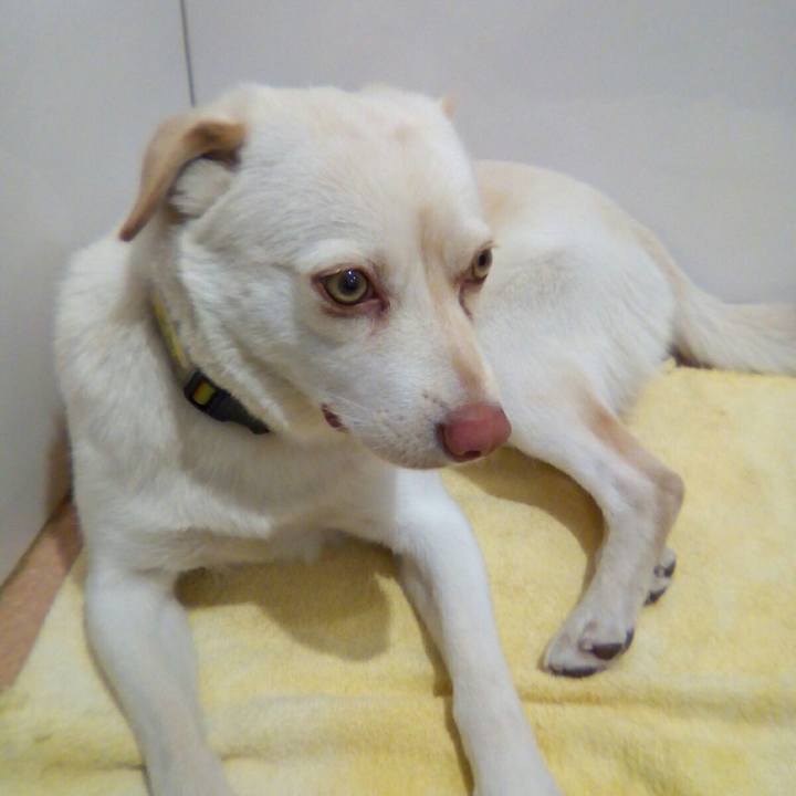 018bceb6 0f11 4a31 97a8 99157a90b4f9 1525435751820