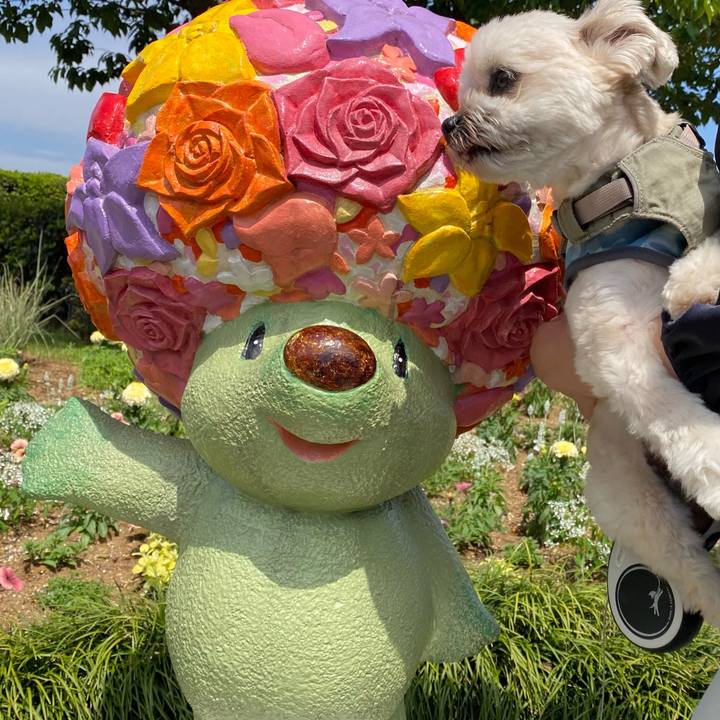 018be256 b7e4 43f7 b878 6b37319fd3d0 1683545710547