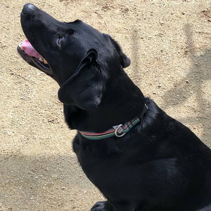 018bf0a5 c30f 44d5 9cf6 e203018a0770 1567990818331