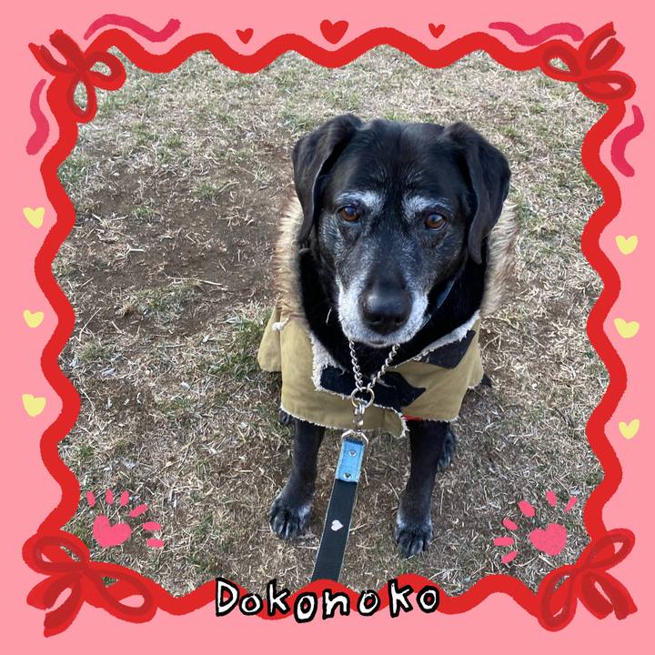 018c0356 f809 4048 8dd5 67142265ca36 1706776312298