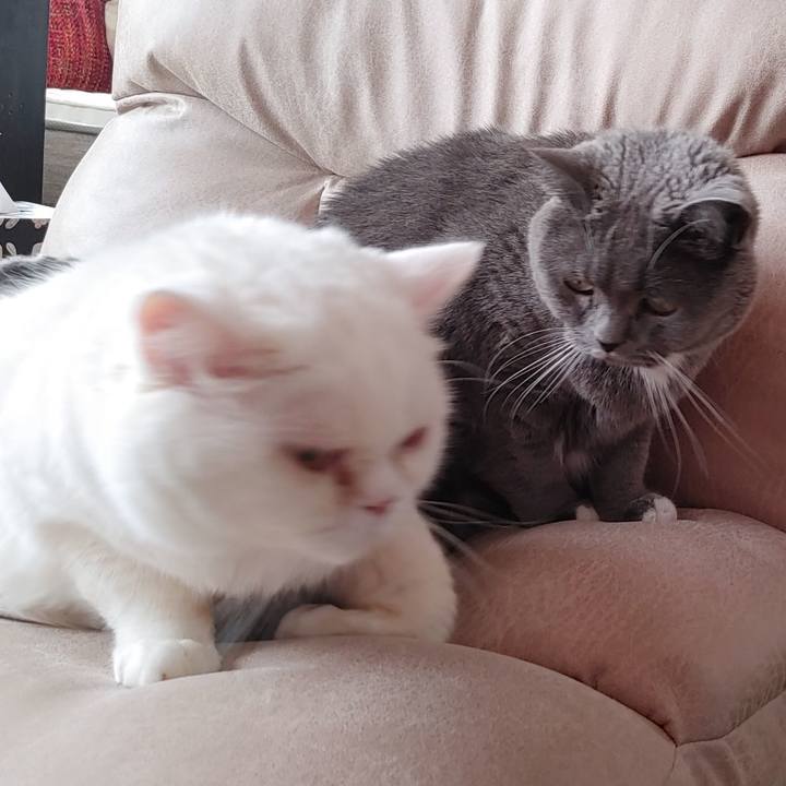 018c356d 4ab1 4719 9d2c 9c708321908c 1672719281605