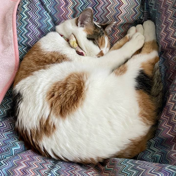 018c46b8 43db 48aa b022 ed645d637ece 1642476275482