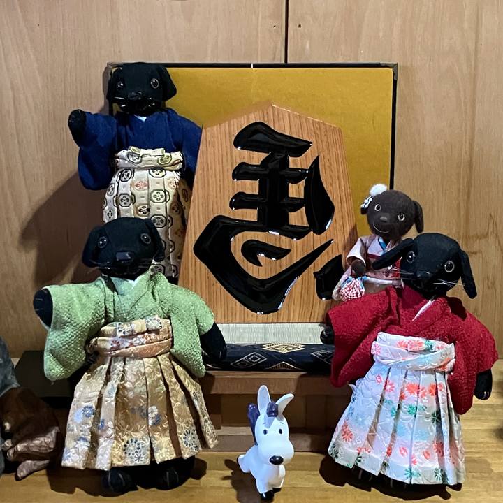 018c62e6 b824 4339 be0d 520c0b89fce3 1768911589652