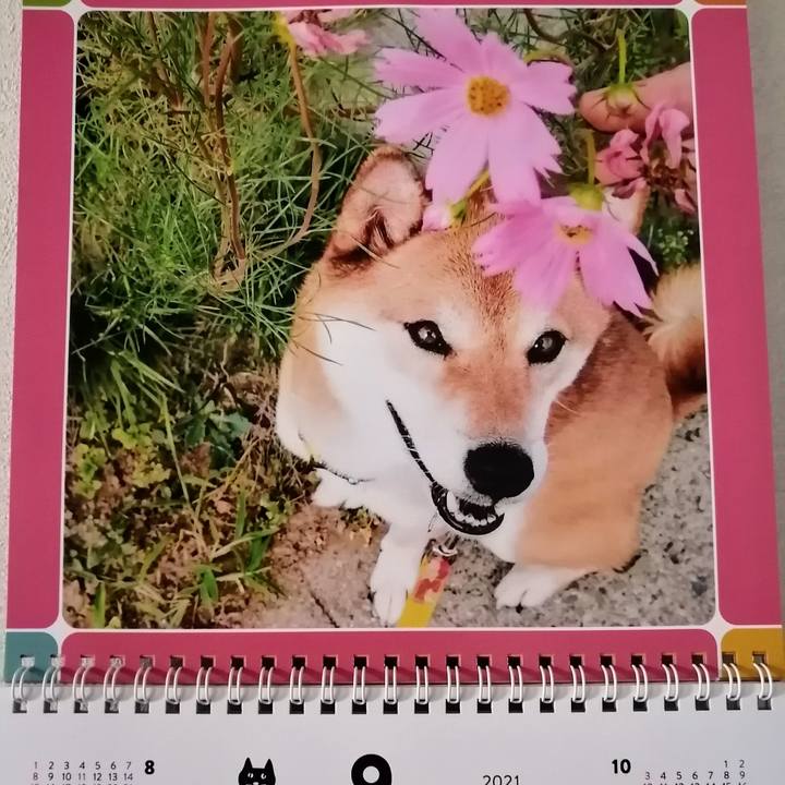 018c6a34 7114 4d7c 989b e94bba15adc9 1630454427013