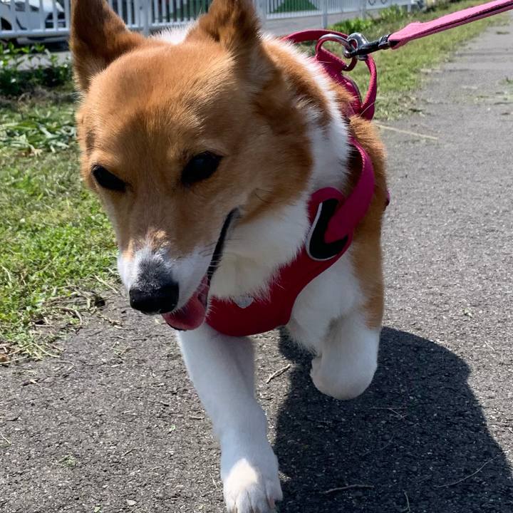 018c6efa 2aae 4e08 944b 1f9a143003b2 1713146612981