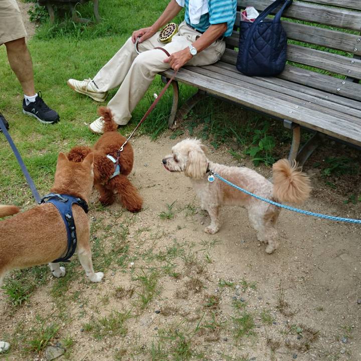 018c7db3 8951 4c8e a102 a4ff496eb3d0 1531749537943