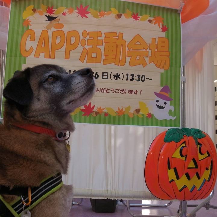 018c94c3 9960 4767 bec3 92291efbb3c2 1592734613039