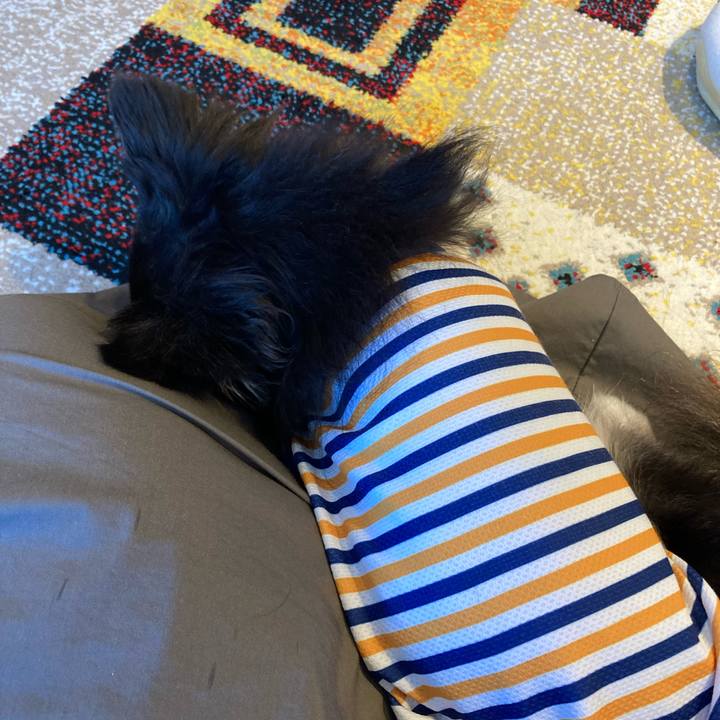 018c9af6 6ba0 4cfb ae8d b74ae4a941e8 1718553292379