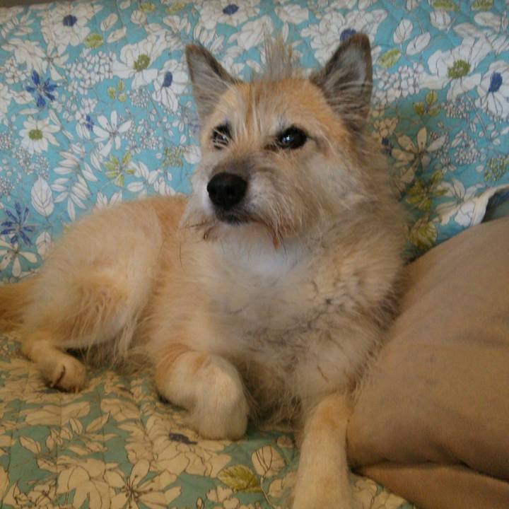 018ca7ee 7108 4204 b3c1 9b9eadc8e139 1508809237984