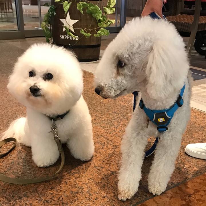 018cb382 9b0e 4a60 ba2f 28e25cafb1db 1637737872306