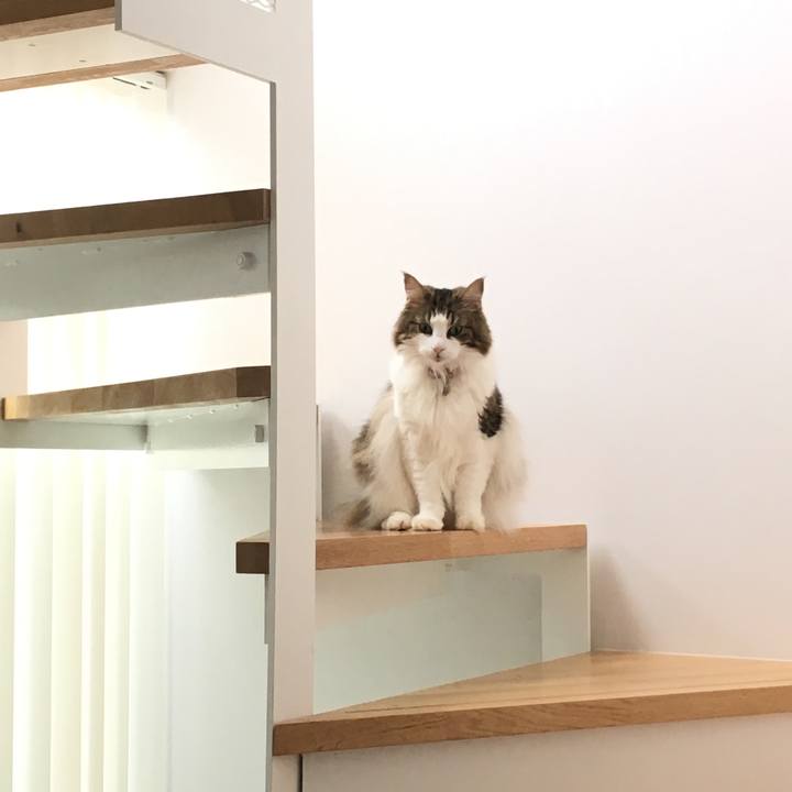 018cf848 3455 4211 9432 842ce06cd599 1568621555748