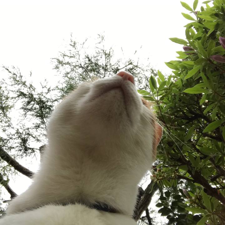 018cff47 d058 49f5 91c4 d325f03dd165 1525318718106