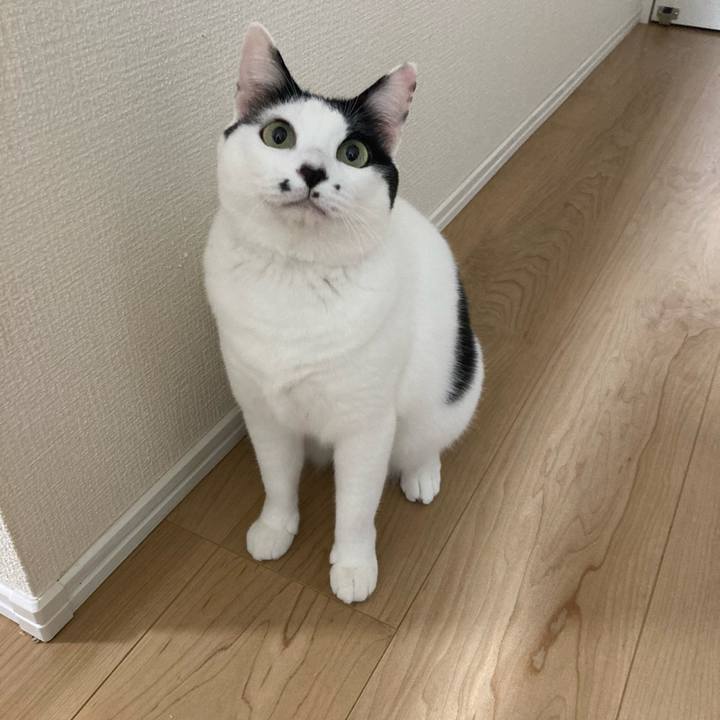 018d3a7c 877a 4db2 942b b590a4d5b23c 1762719089670