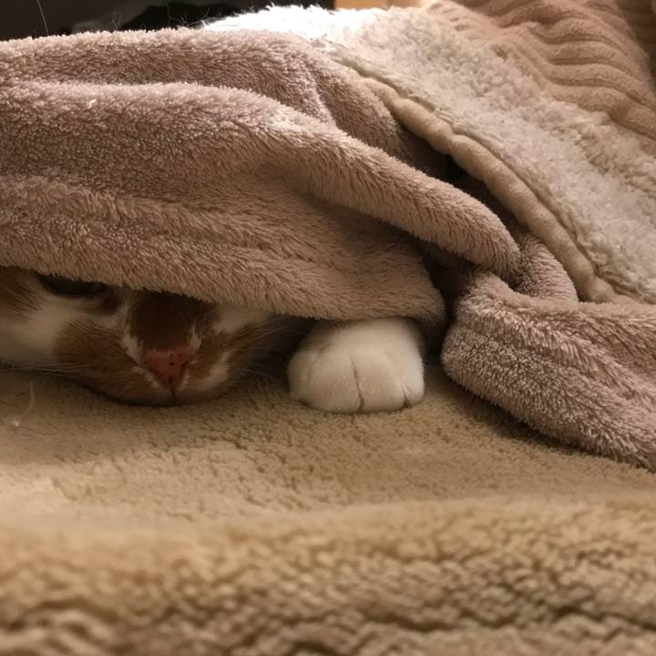 018d970c dd59 467a 8791 787576dc13bc 1519732724069