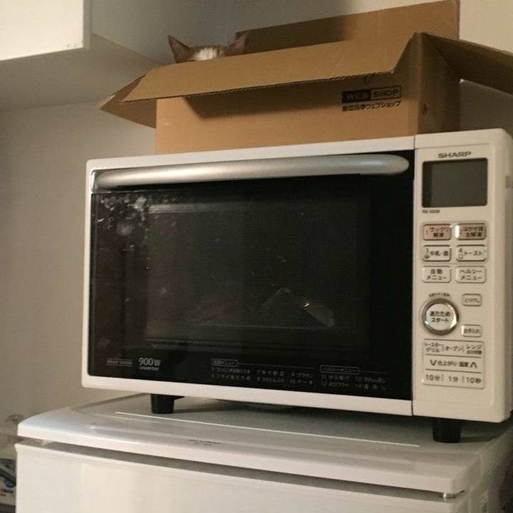 018dc6cb 3cc0 4b3e a379 8714bf034bfa 1535244645237