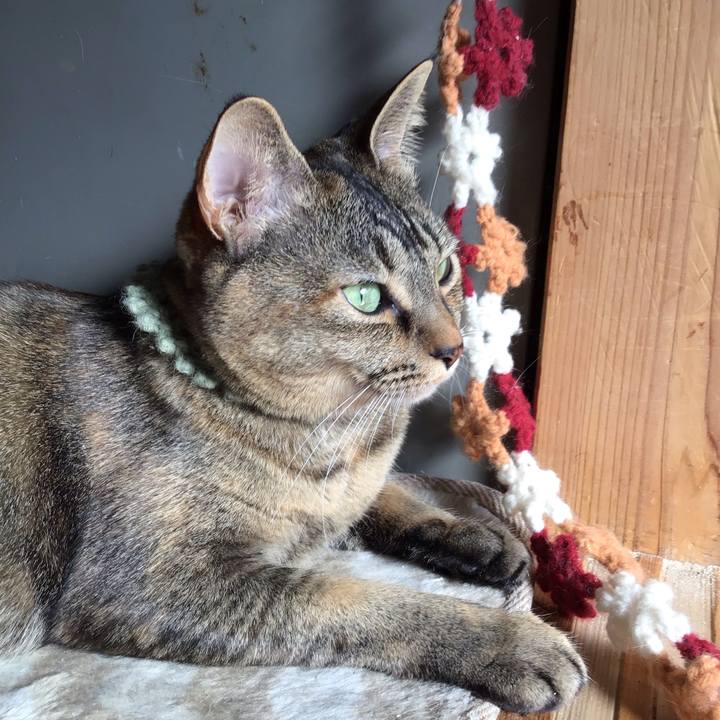 018dcccb 6524 4a7f 9cf7 391b5817f340 1644645420174