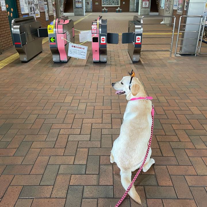 018dd720 751c 4419 82d5 61ec533e501a 1633442304837