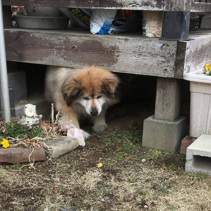 018e0f8c c464 48a6 879e e92d3ac28326 1594057933221