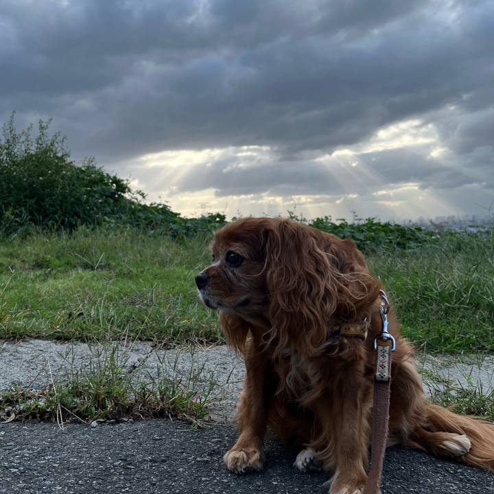 018e18e4 8c4a 477e ac4b 0b7fabe58d0c 1729406540862