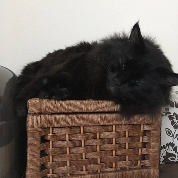 018e1c23 567c 4877 baaf 515b63af8e8e 1550020589879