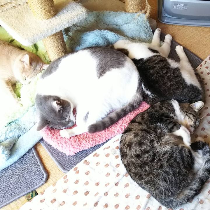 018e26bd 4dd9 48c8 ba96 f0e96fc4a2a7 1543688018504