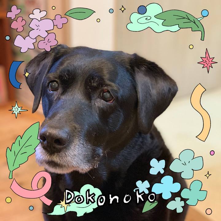 018e627b 4918 4001 a23a bddd885c1b8a 1717980653849