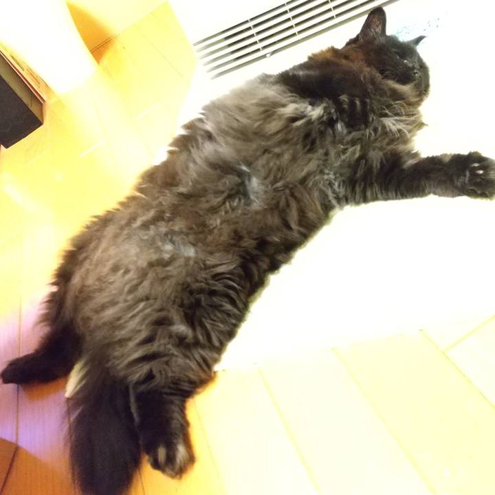 018e8795 6435 496a a1dc 6c756f02ef63 1612514689527