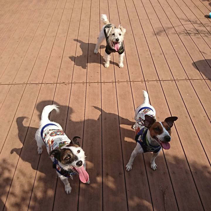 018e8c7a b7b0 4002 bbd6 18dcca4c6c15 1586339630432