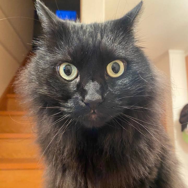 018e9e96 48b0 405c 8b59 a0a87f0a57f8 1576750927479